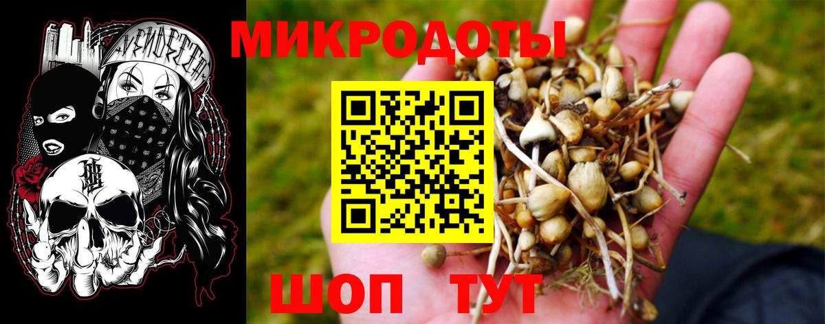 Псилоцибиновые грибы ЛСД  Вход с VPN  Братск 